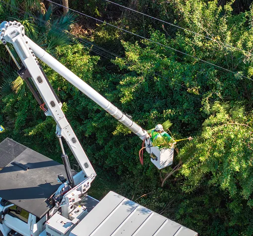 Several bucket trucks with their bucket arms extended and raised high in the air.